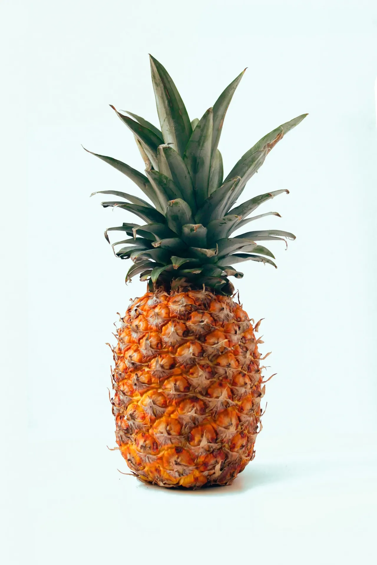 [test ananas champs référence] Ananas Avion