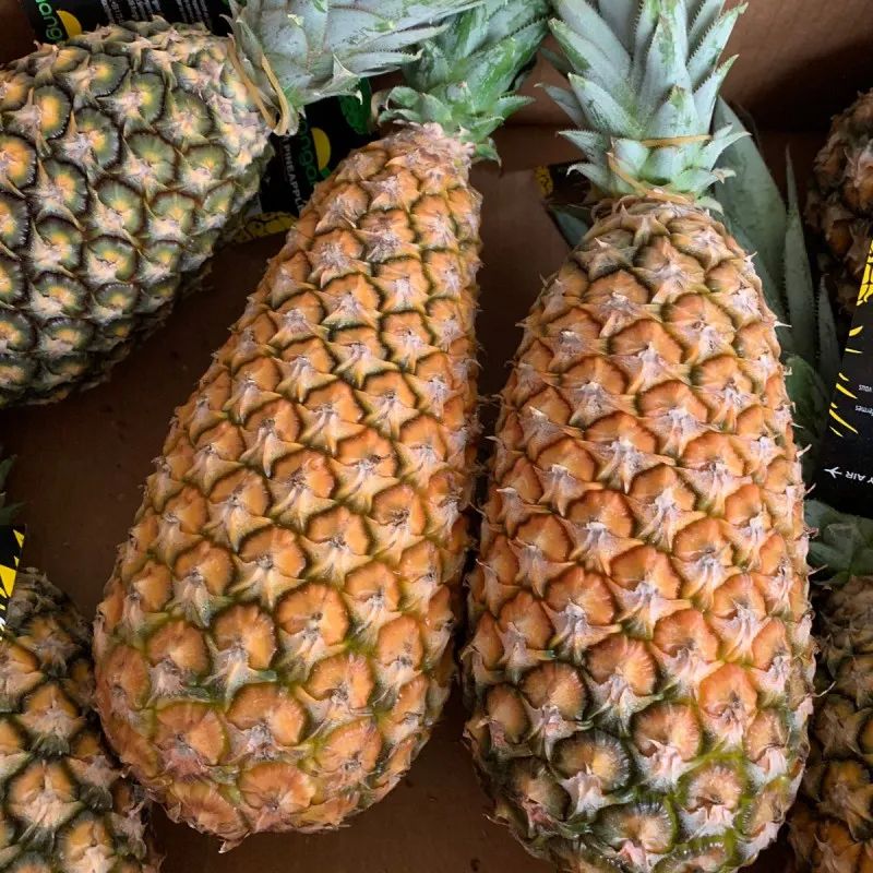 Ananas pain de sucre
