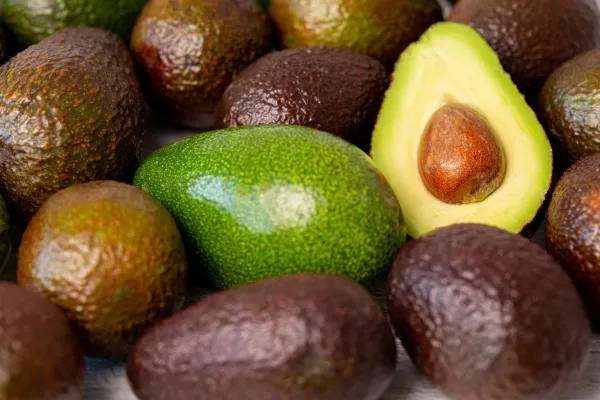 Avocat